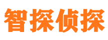 九原市私家侦探